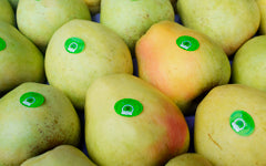 Bravo de Esmolfe Pomme AOP