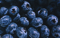 Myrtilles et Mûres Biologiques