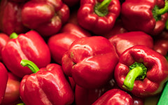 Poivron Rouge