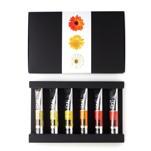 
                  
                    PACK 6 Doces Extra de Fruta - Edição Primavera, com compota de ameixa, compota de ananás, compota de pera, compota de abóbora, compota de framboesa e groselha, compota de framboesa e lima - meia.dúzia, compotas artesanais em bisnaga
                  
                