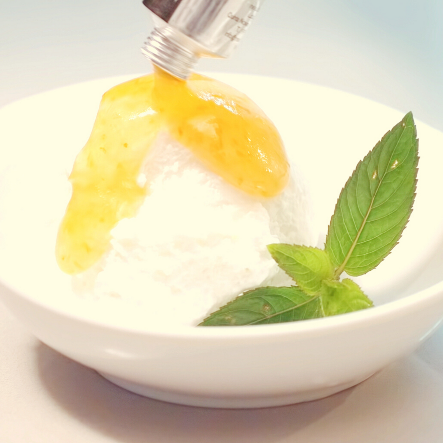 Gelado com topping de compota artesanal de Maçã Bravo de Esmolfe com Hortelã e Vinho do Porto meia.dúzia